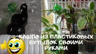 Кашпо из пластиковых бутылок своими руками