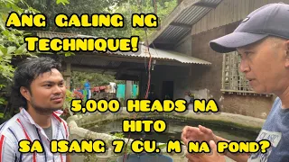 5,000 HEADS NA HITO SA 7 CUBIC METER NA POND? HOW?