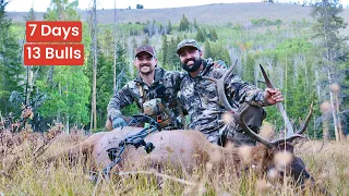 Idaho Archery Elk | 7 Days in the Backcountry | 13 Bulls