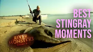 Best Of Stingrays! | COMPILATION | River Monsters