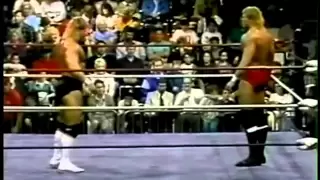 Worldwide '91 - Lex Luger vs. Sid Vicious