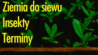 Kiedy rozsada się nie udaje. Jak zrobić ziemię do siewu