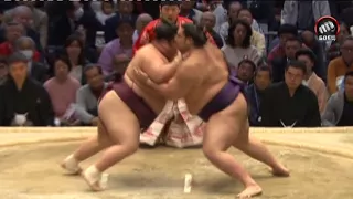 The March Sumo tournament in 2016, 13-15 days. Haru Basho In Osaka