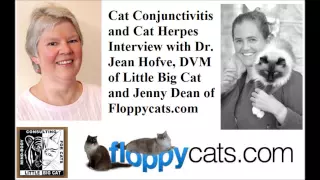 Cat Conjunctivitis and Cat Herpes with Dr Jean Hofve of Little Big Cat - Floppycats