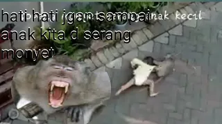 #TOPENG MONYET SERANG ANAK KECIL || SAMPAI D SERET