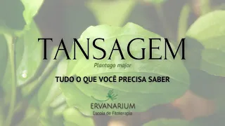 Tansagem - Tudo o que Você Precisa Saber