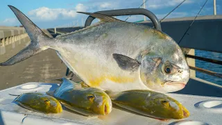 2 Fish You CAN’T Buy! Catch Clean Cook (Florida Keys Bridge Fishing)