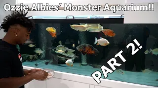 OZZIE ALBIES' MONSTER AQUARIUM PART 2!!! FISH ARE IN THE TANK!! - PREMIER AQUATICS