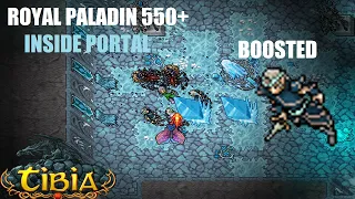 Tibia | Winter Courts Inside Portal | RP 550+ | Alternative Hunt (Boosted Creature)