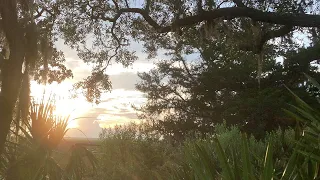 July Sunset 14, 2023 Georgia Marsh