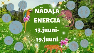 ⚡️ Nädala Energia ⚡️ 🍀 13.juuni-19.juuni 🍀 - 🔮 12 Tähemärki 🔮
