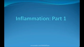 Inflammation Part 1 (HD)