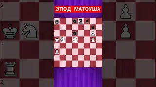 💥НЕИЗБЕЖНАЯ ГИБЕЛЬ #chesspuzzle #шахматныезадачи #шахматы #chess