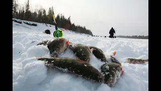 Приполярный Урал. Зимняя рыбалка на реке Ляпин.