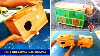 How To Make Breeding Box at Home | Easy Way To Make Wooden Breeding Box