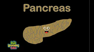 Human Body /Pancreas Song/Human Body Systems