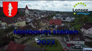 Der Maibaum 2023 wird aufgestellt - Lonsee