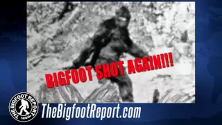 ‪The Bigfoot Report - Bigfoot News #18 - Pennsylvania Bigfoot Shooting