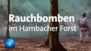 Hambacher Forst: Waldbesetzer vs. Polizei