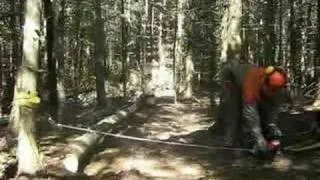 PCW5000 - Winching down a hung-up tree (PQ*)