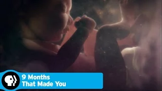 9 MONTHS THAT MADE YOU | Preview | PBS