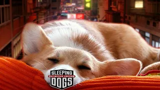 ВАМ НЕ НУЖНО ПРОХОДИТЬ SLEEPING DOGS...ВЕДЬ ЭТО СДЕЛАЛ Я