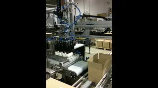Novosys Robot Case Packer