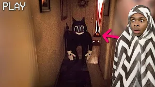 CARTOON CAT Spotted In My HOUSE! HELP