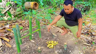 Primitive technology made traps to catch animals and survive