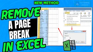 How to Remove a Page Break in Excel [ Easy Tricks ]