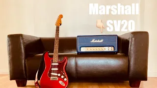 Обзор Marshall SV20H🤘🏼Почему мы не стали друзьями?