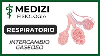 Clase 39 Fisiología Respiratoria - Intercambio Gaseoso Pulmonar (Hematosis) (IG:@doctor.paiva)