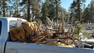 Shed Hunting 2023: Snow, Cold & Browns