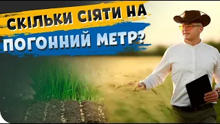 СКІЛЬКИ ПШЕНИЦІ СІЯТИ НА ПОГОННИЙ МЕТР?🌾🧐 Основи землеробства