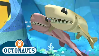 Octonauts - Cookiecutter Sharks & The Sardine School | Cartoons for Kids | Underwater Sea Education