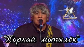 "Порхай мотылёк"- Анатолий Вишняков. Душевные песни шансона.