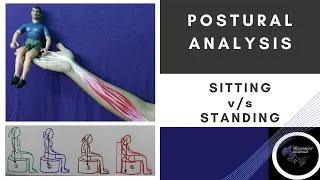 SITTING VS STANDING (Posture Biomechanics)Physiotherapy Tutorial