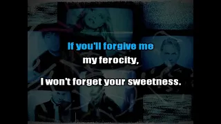 Blondie - Forgive and Forget (Pull Down the Night) (Karaoke)