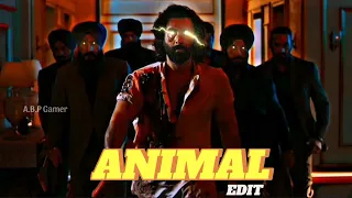 Gangsta's Paradise Ft. Animal🥶 || #animalmovie #ranbirkapoor #viral #viralvideo  #youtubevideo