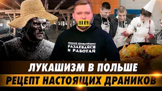 МЕРЧ ЛУКАШЕНКО В ПОЛЬШЕ. Школьники в грязи. Беларуские тренды TikTok. Стоимость драников в Беларуси