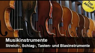 Musikinstrumente - Streich-, Schlag-, Tasten- und Blasinstrumente