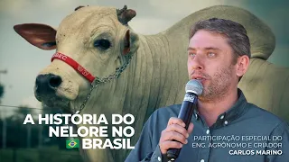 A história da Raça Nelore no Brasil – com Carlos Marino