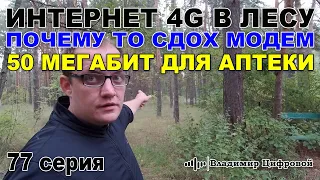 4G Интернет в лесу, почему то сдох модем, 50 мегабит для аптеки | Владимир Цифровой | 77 серия