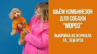 Комбинезон для собаки "МОРОЗ". Видеоинструкция к журналу Ya_Sew №24
