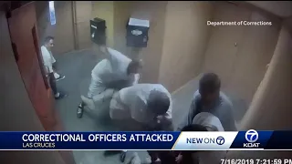 Seven against two: Video released shows brutal attack on correctional officers