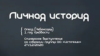 Личная история. Олеся (Чебоксары). 1 год трезвости. Спикер на собрании группы АА "Источник" 27.12.20