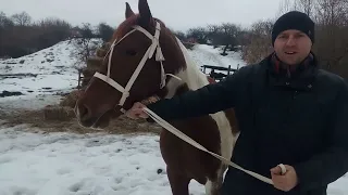 УЗДЕЧКА ЗАВОДСКАЯ!