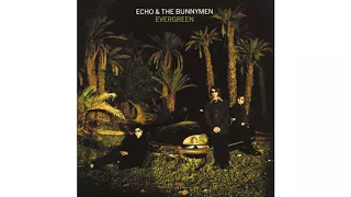 Echo & The Bunnymen - Bedbugs And Ballyhoo [Live]