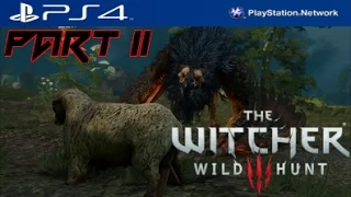 Lets Play The Witcher 3 Wild Hunt Part 11 (No Commentary) - Griffin Battle