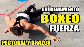 🥊 Entrenamiento Fisico BOXEO ||  FUERZA PECTORAL Y BRAZOS 🥊